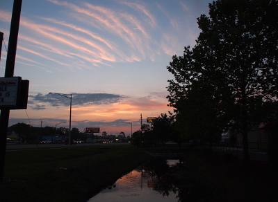 [The foreground trees, roadway, and ditch sides are dark. The roadway is peppered with headlights of oncoming cars. In the sky are low dark clouds mixed with lighter ones reflecting the pinkish morning sky. The sky is reflected in the water.]